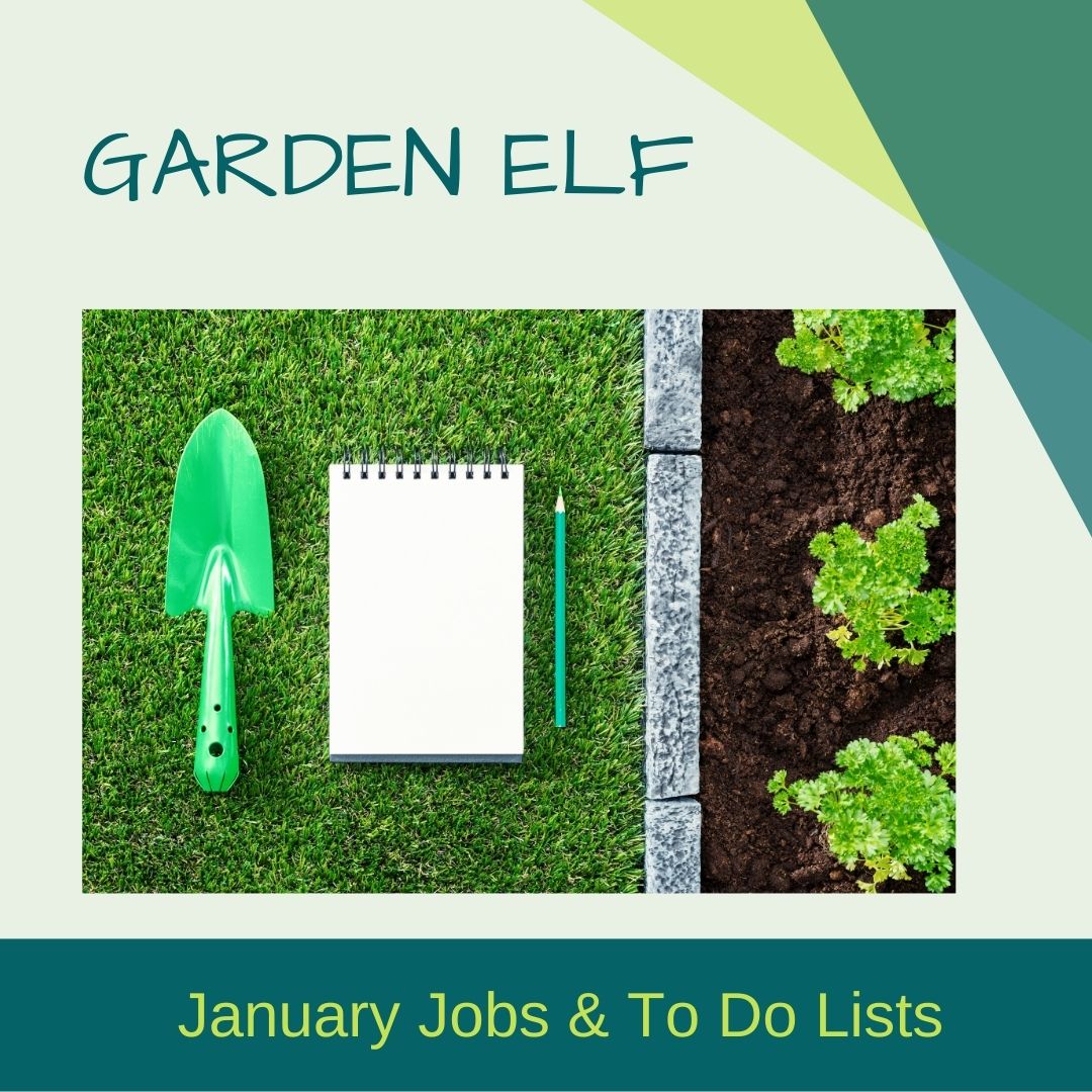 Top January Jobs in Your Garden post thumbnail